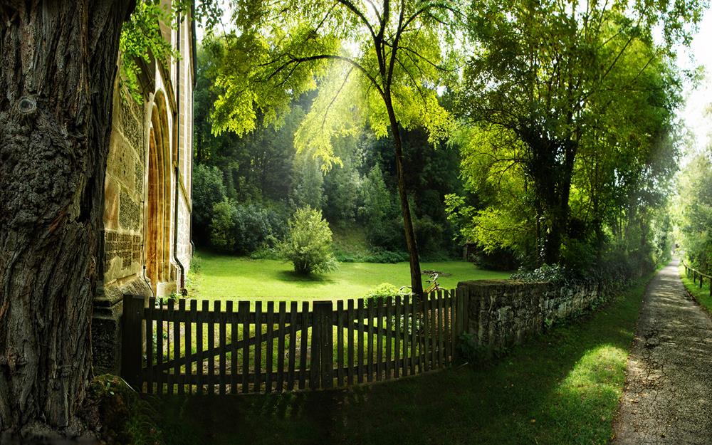Картина Природа PR107 55х85 см