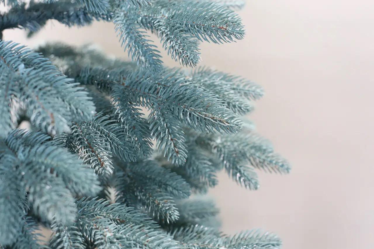 Искусственная елка литая Вип Роял 2,1 м - фото 5 Искусственная елка литая Вип Роял 2,1 м - фото 5