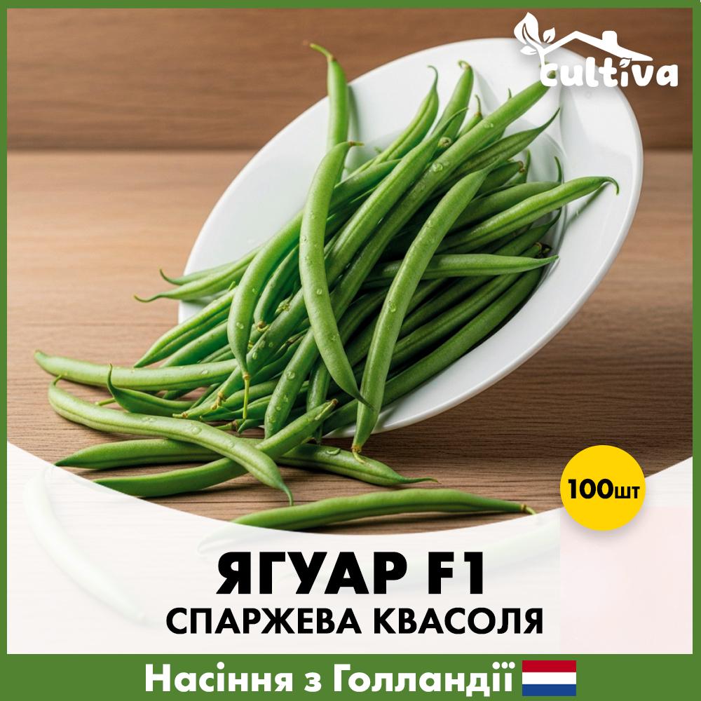 Насіння стручкова квасоля Hazera Ягуар F1 100 шт. (R51133)