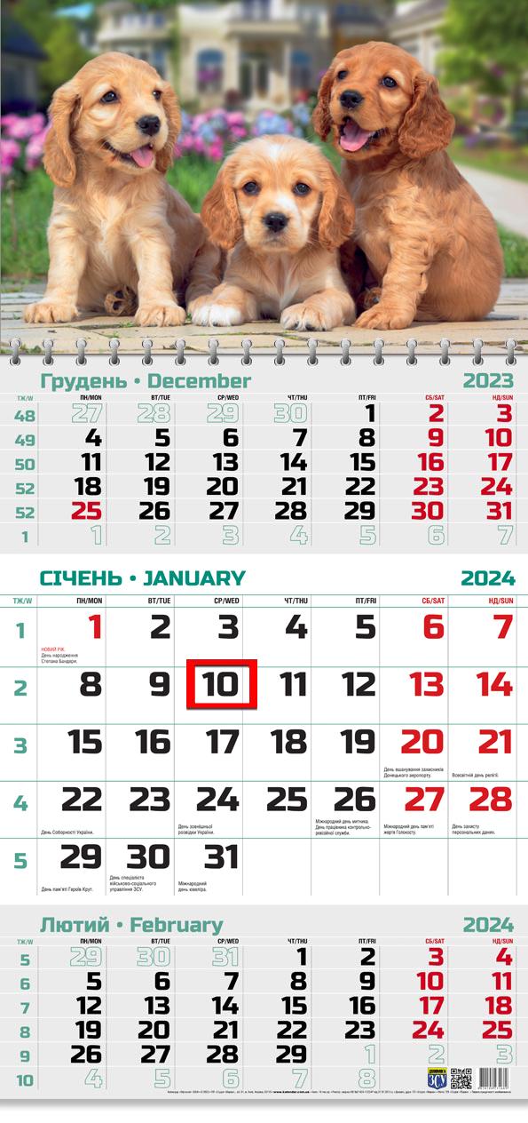 Календар на 2024 рік Офісний 2 Кокер Спаніель