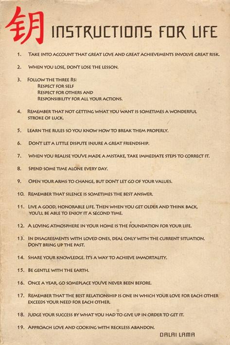 Постер плакат Инструкции Для Жизни Далай Лама/Instructions for lIfe Dalai Lama 61x91,5 см