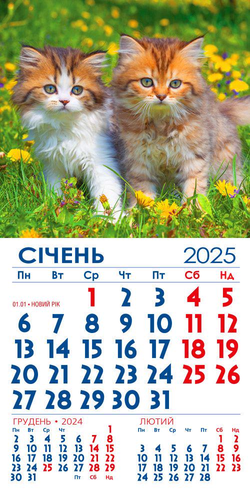 Календар на 2025 р. Магніт Два котика на природі