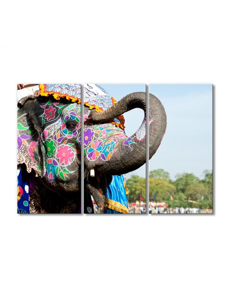Картина модульная Свадебный слон 3 модуля 80x120 см