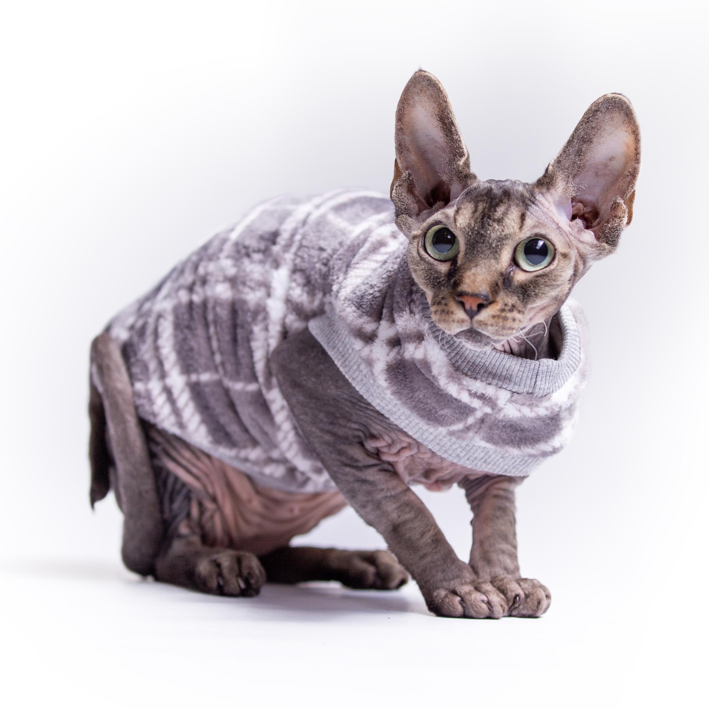 Кофта для кошек без рукавов теплая Style Pets GUCH XL (381XL) - фото 2