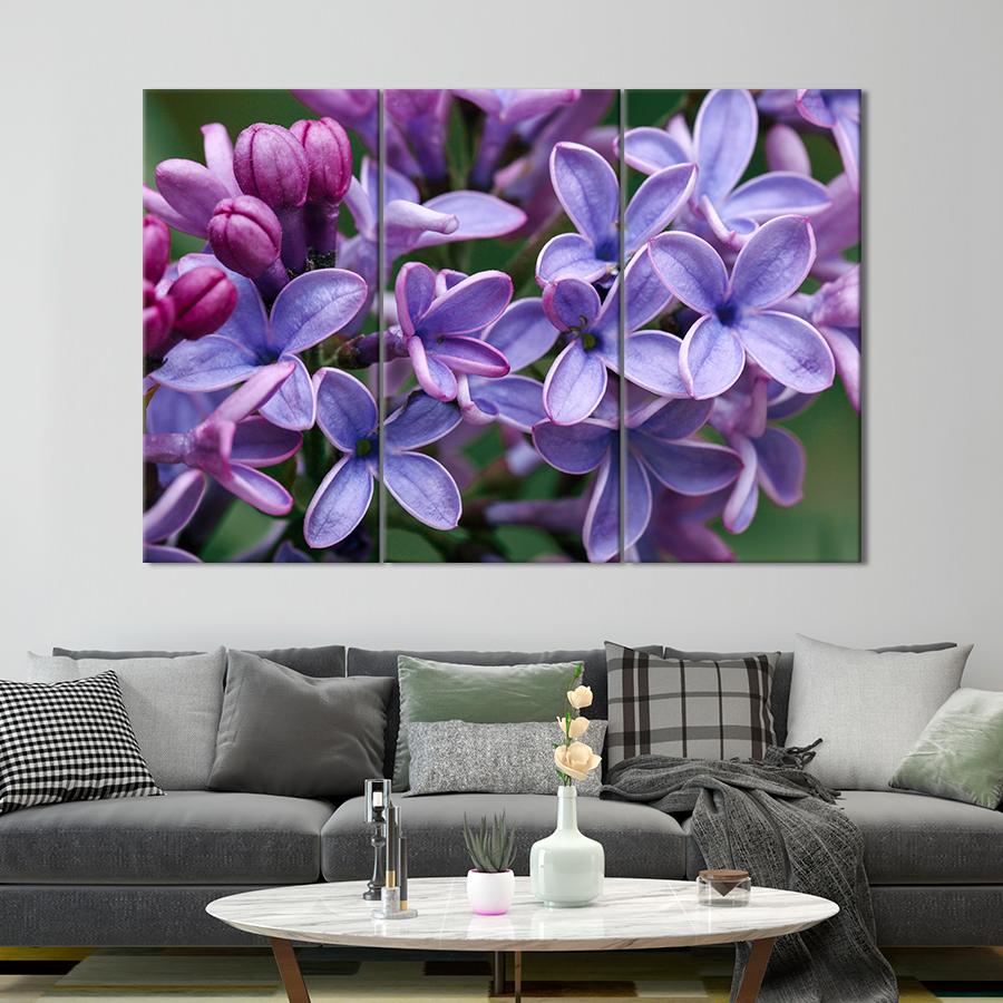 Картина цветы и растения Хрупкие цветы сирени 156x100 см (A993-3)