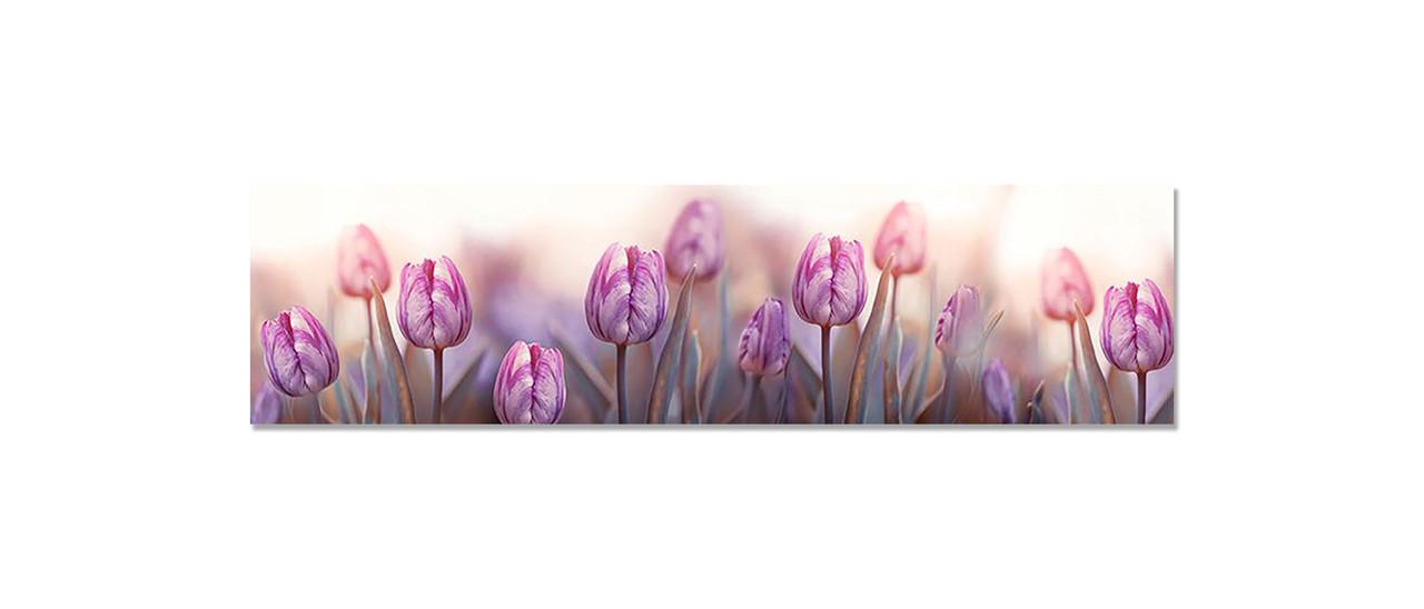 Наклейка виниловая 3D Zatarga Утро и Тюльпаны 650х2500 мм (1274515506)