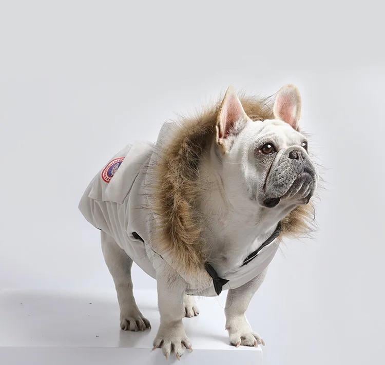 Куртка зимова водонепроникна для собак Chill Winter з капюшоном XL (2030649894) - фото 2 Куртка зимова водонепроникна для собак Chill Winter з капюшоном XL (2030649894) - фото 2