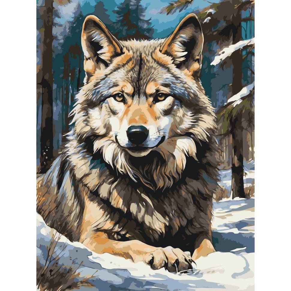 Картина по номерам ART CRAFT Волк в лесу 40х50 см (11575-AC)
