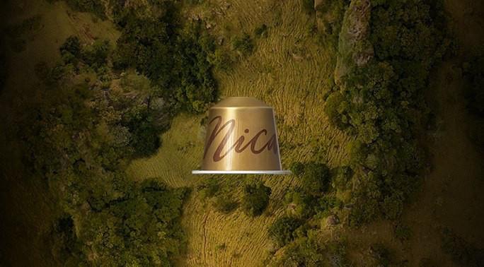 Кава в капсулах Nespresso Master Origin Nicaragua 40/110 мл - фото 4