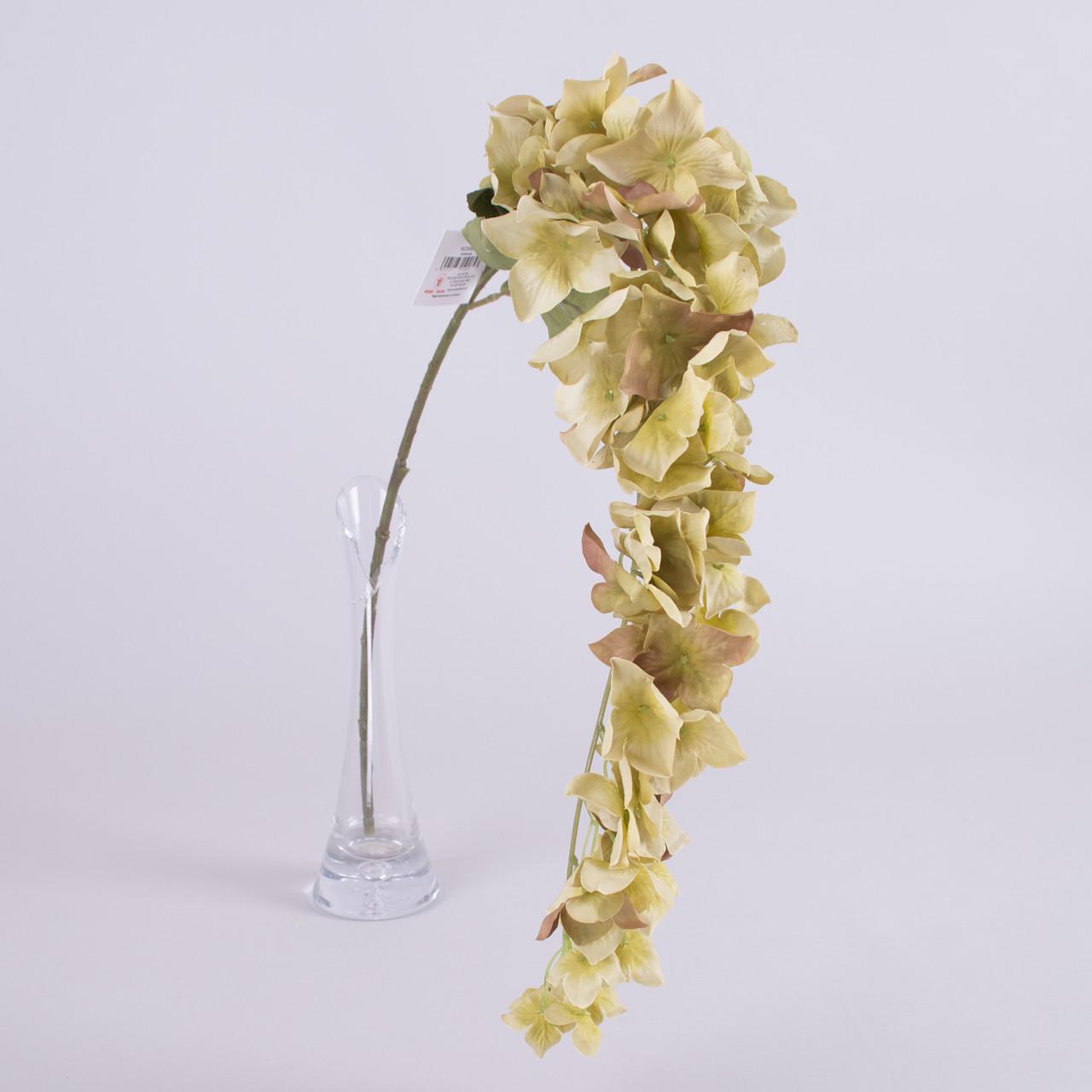 Гортензия свисающая остролистая (оливковая)