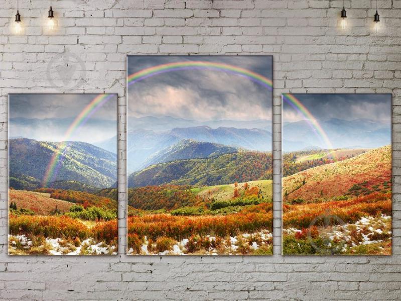 Модульная картина ArtStar ADNA0114 размер 70 х 105 см