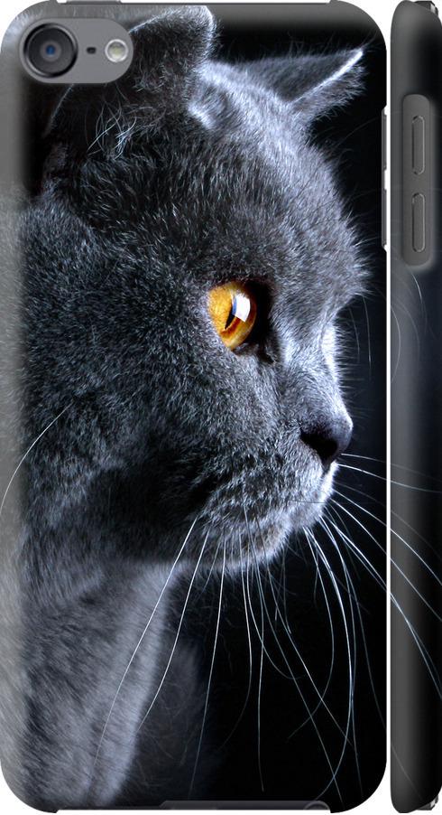 Чехол на iPod Touch 6 Красивый кот (3038m-387-42517)