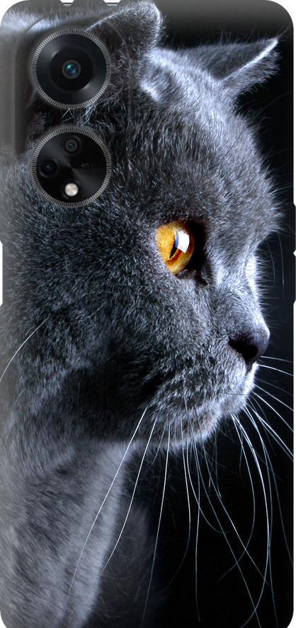 Чехол на Oppo A98 Красивый кот (3038u-3115-42517)