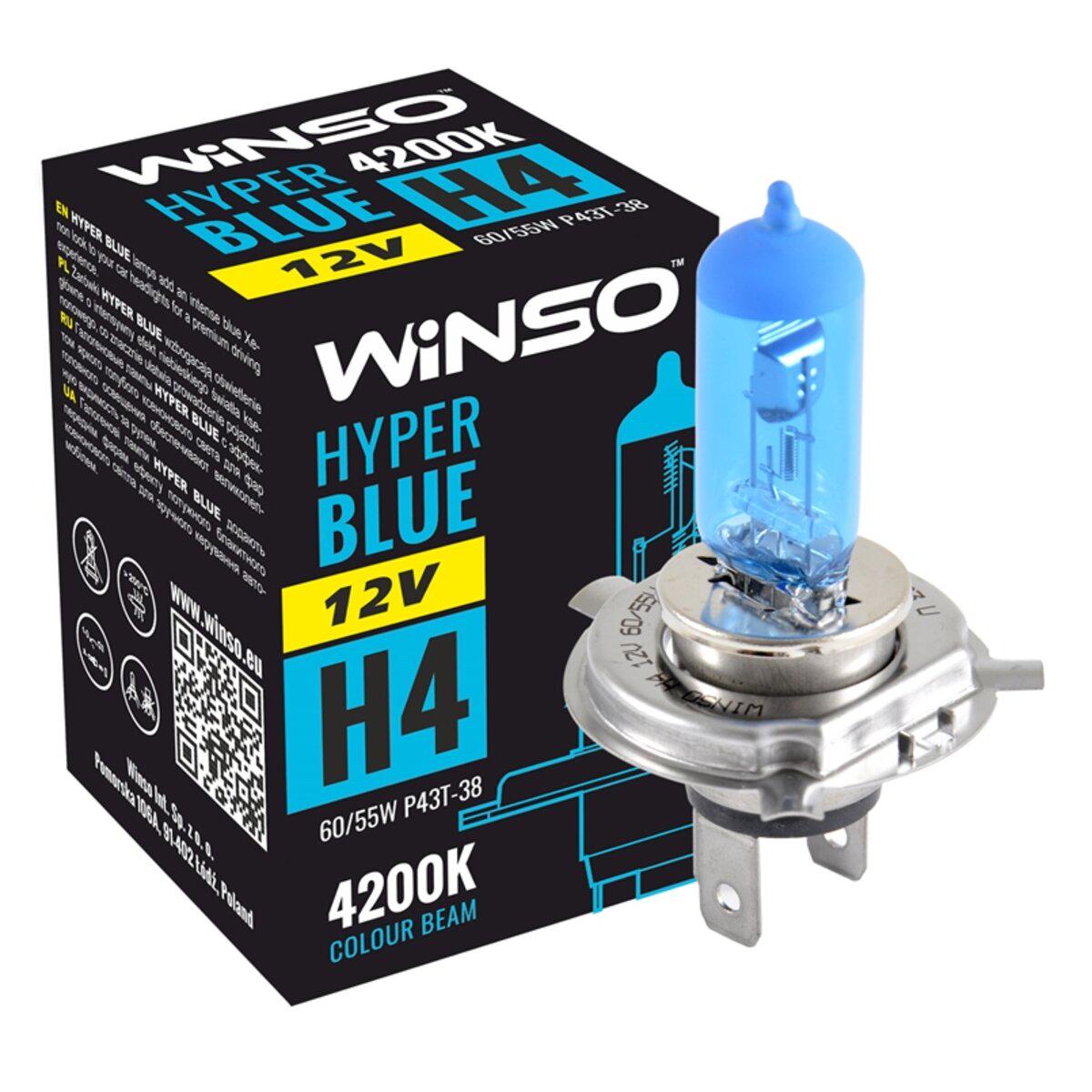 ᐉ Автомобильная лампа галогеновая Winso H4 12V 60/55W P43t-38 Hyper Blue  4200K (6933) • Купить в Киеве, Украине • Лучшая цена в Эпицентр