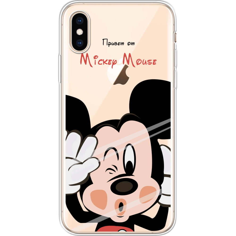 Чехол Boxface iPhone XS Mister M Прозрачный силикон (35413-cc58-32139)