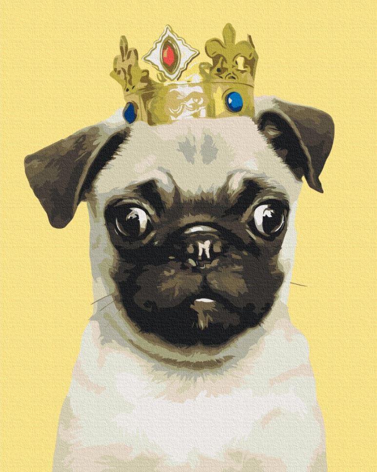 Картина по номерам BrushMe BS52654 Коронованный мопс 40х50 см (L067930)