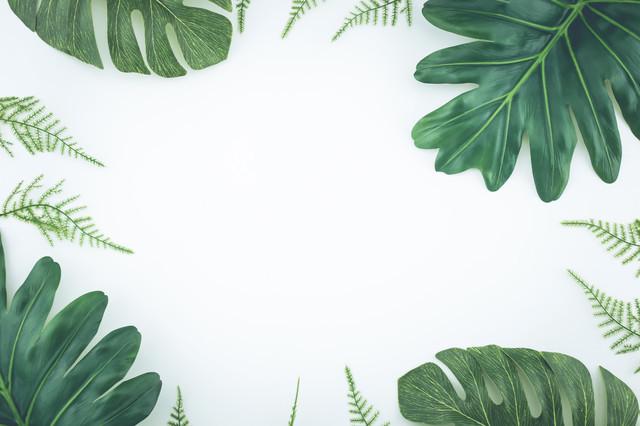 Фотофон виниловый Frontlit 90x60 см 450 г/м2 №56081 Фотофон виниловый Frontlit 90x60 см 450 г/м2 №56081