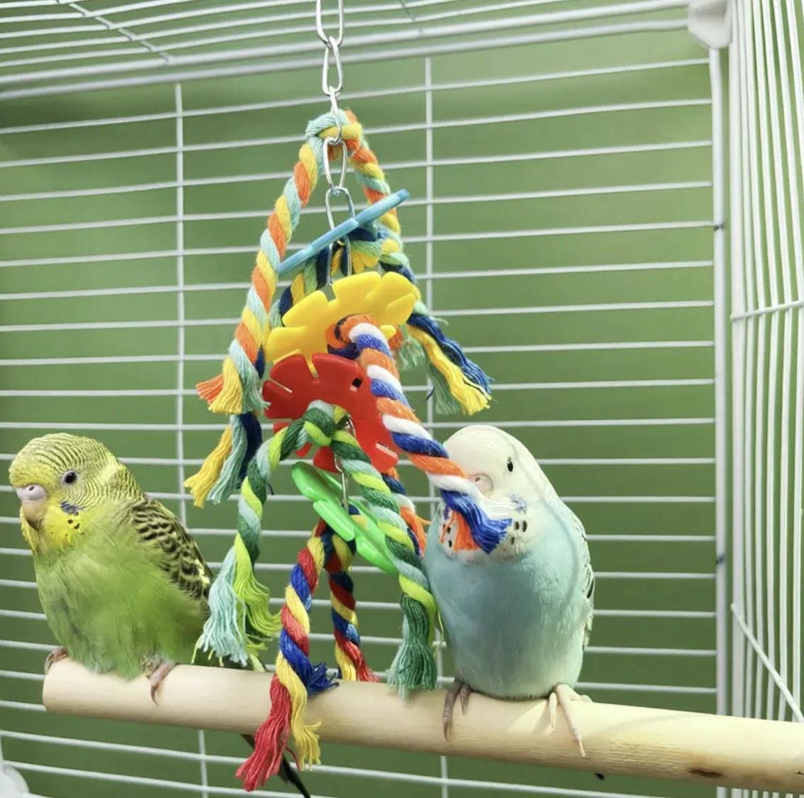 Іграшка плетена для папуг 2 шт. Різнокольоровий (345434534) - фото 2 Іграшка плетена для папуг 2 шт. Різнокольоровий (345434534) - фото 2