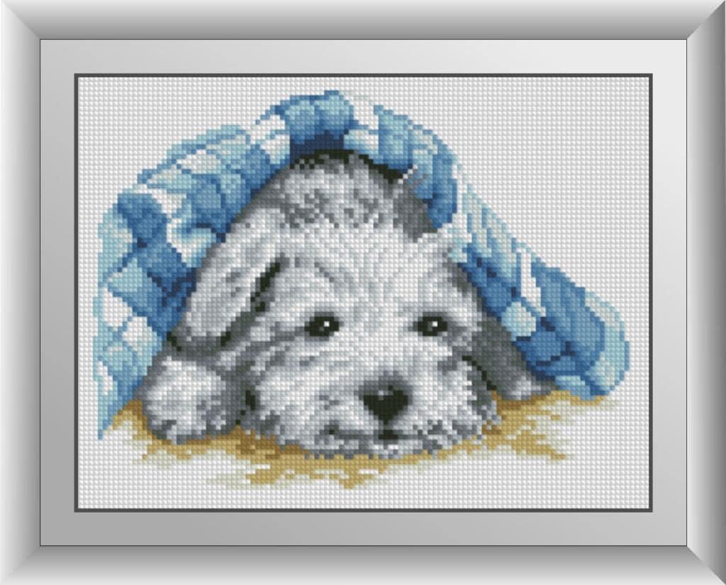 Алмазна мозаїка Dream Art Сховався 22x29 см (1266598534)