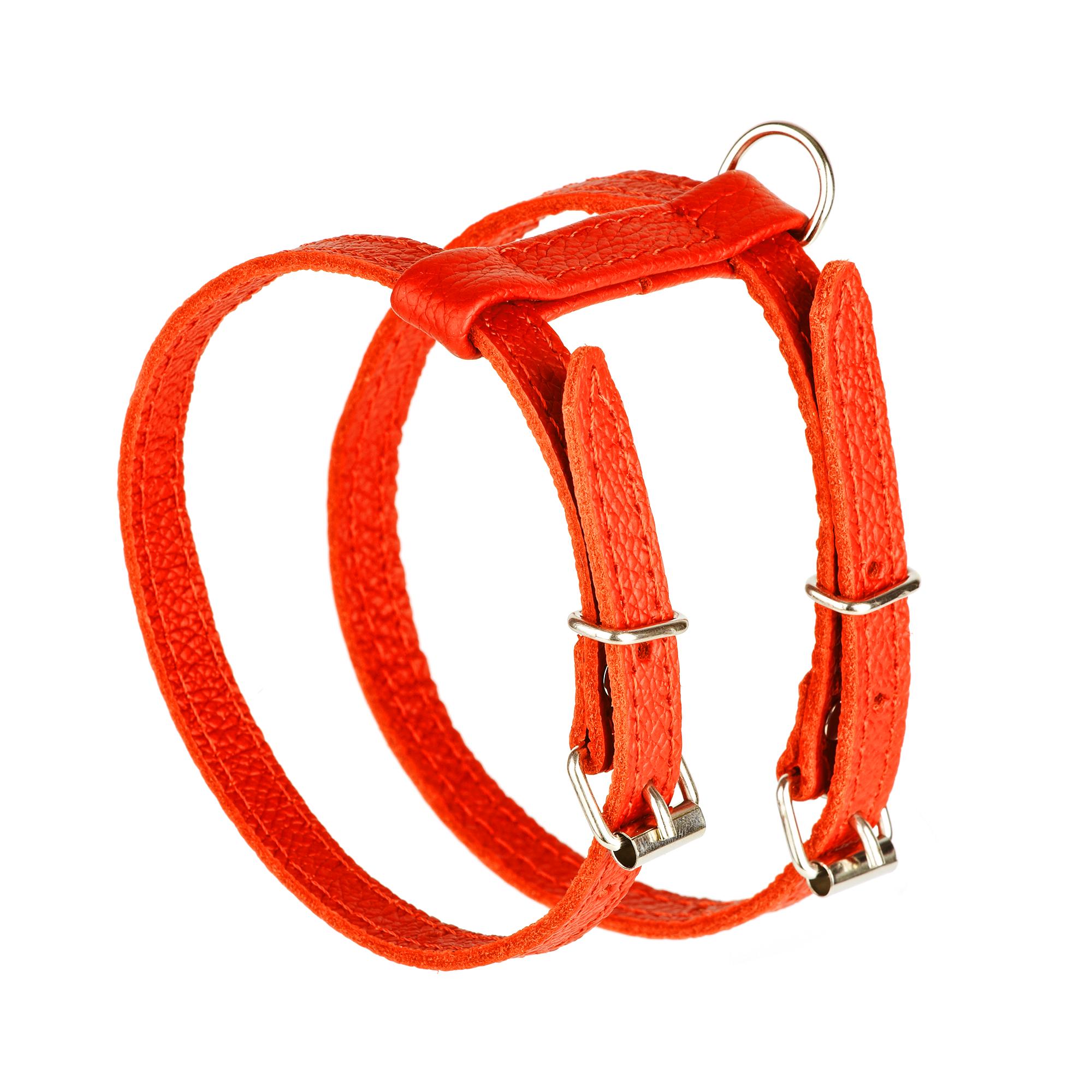 Шлея KareLine з натуральної шкіри 12 мм А-230-300 мм В-270-340 мм Помаранчевий (8420/11) - фото 1