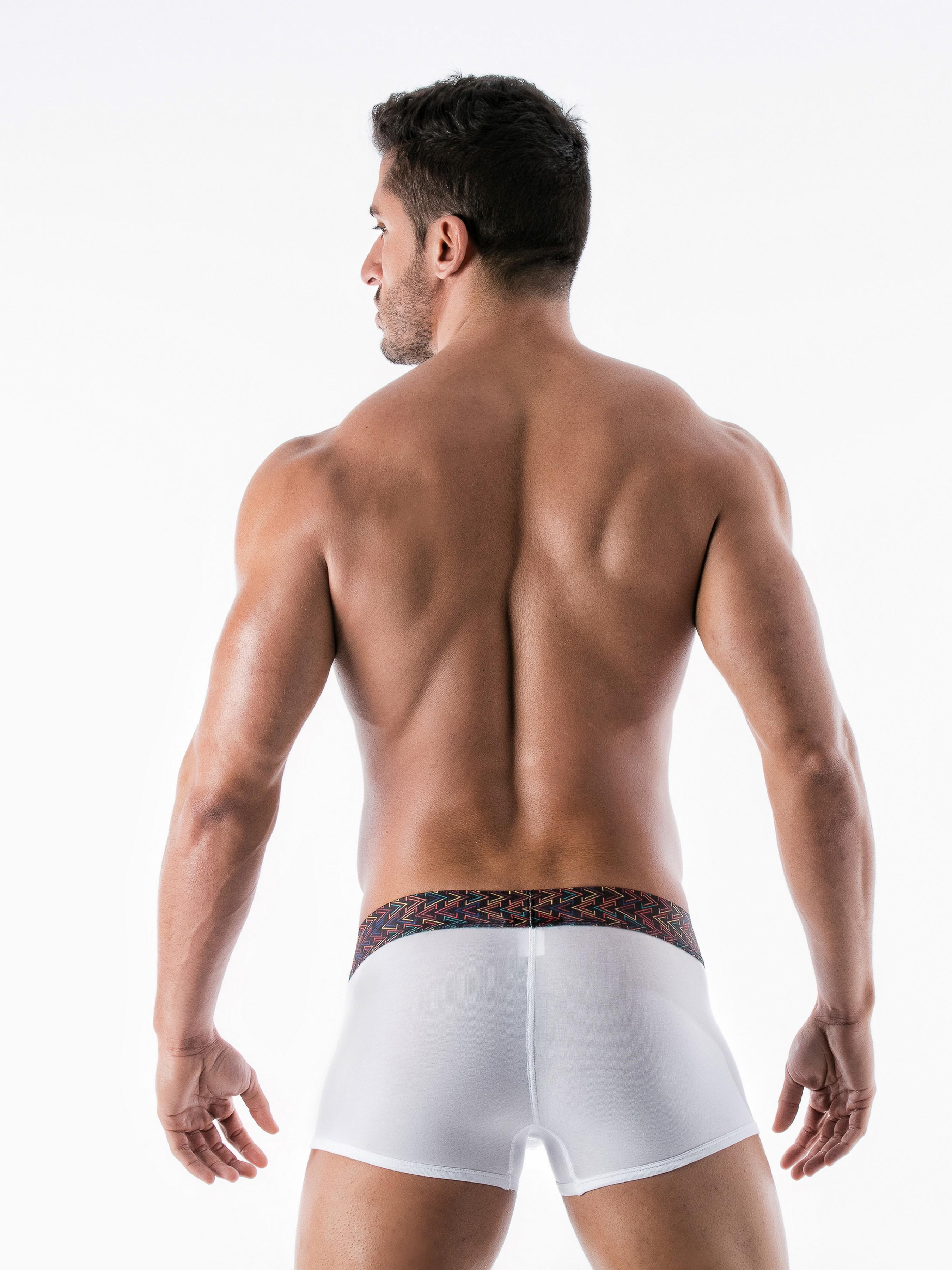 Трусы боксеры Geronimo 1952b1 M 19521/Белый (3800205880981) - фото 2 Трусы боксеры Geronimo 1952b1 M 19521/Белый (3800205880981) - фото 2