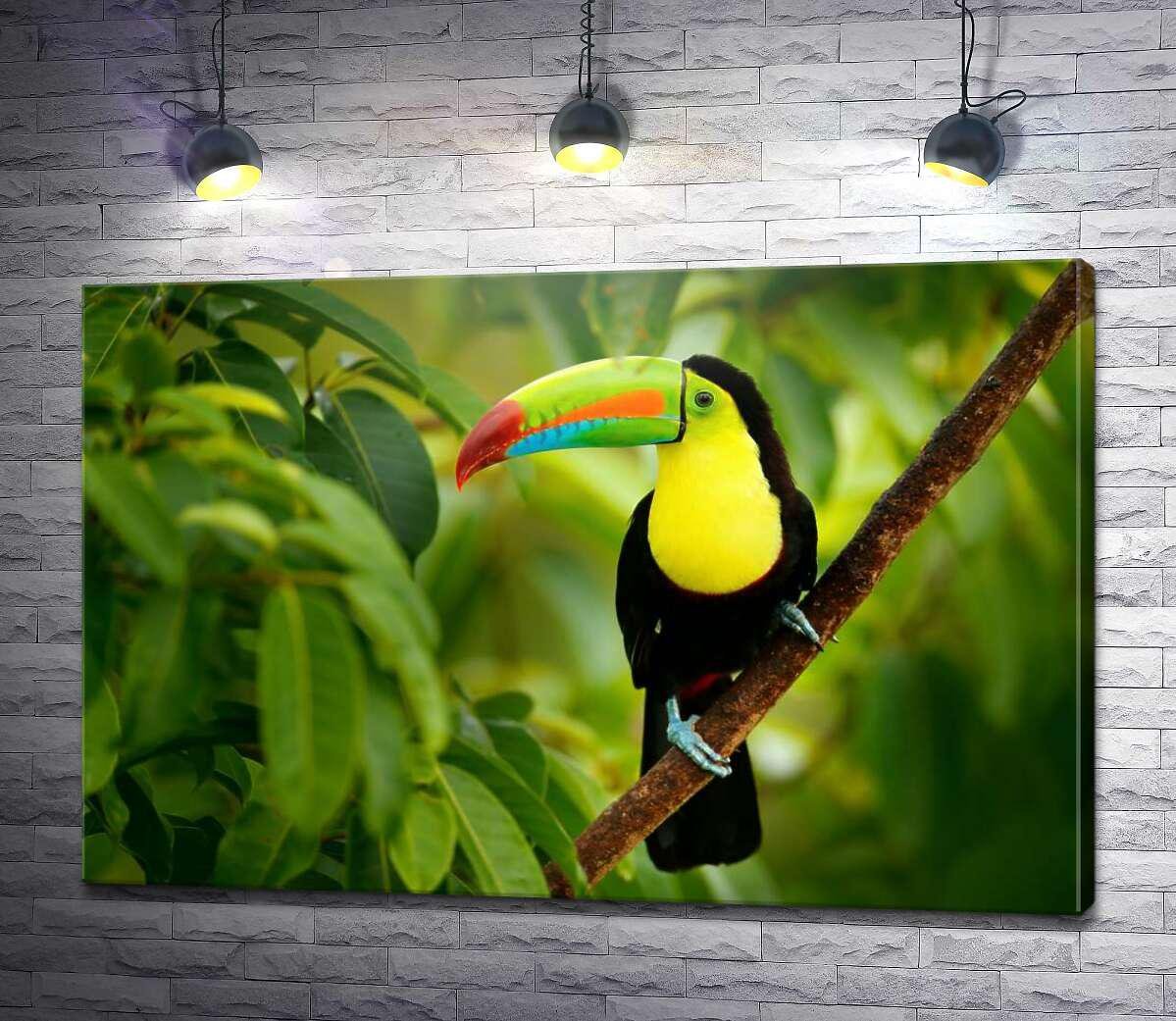 Картина ArtPoster Радужный тукан на ветке 100x67 см Модуль №1 (004493)