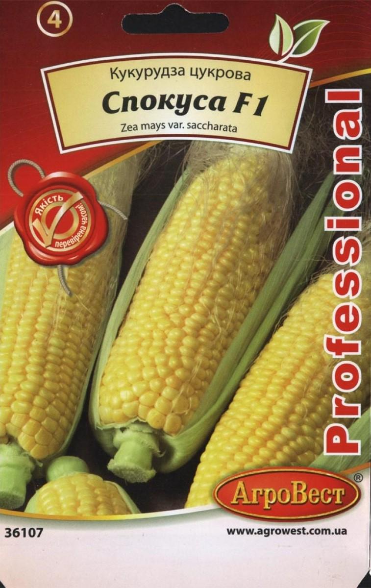 Насіння АгроВест кукурудза цукрова Спокуса F1 30 г (36107)