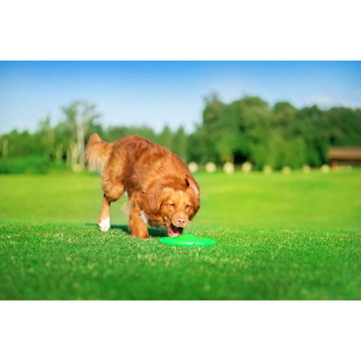 Летающая тарелка ФЛАЙБЕР D 22 см Салатовый (25881052) - фото 10