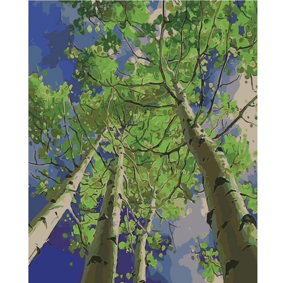 Картина по номерам Strateg Березовая роща 40x50 см (SY6454)