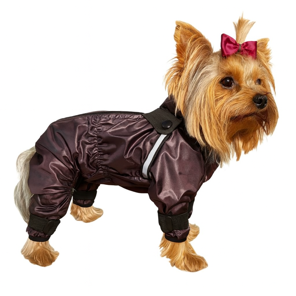 Дождевик для собак для мальчиков Diego Rain р. 2 (124181738)