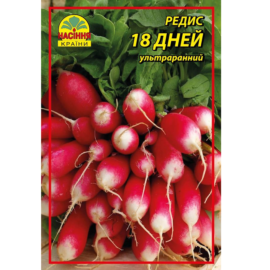 Семена редиса Насіння країни 18 дней 20 г (1299340578) Семена редиса Насіння країни 18 дней 20 г (1299340578)