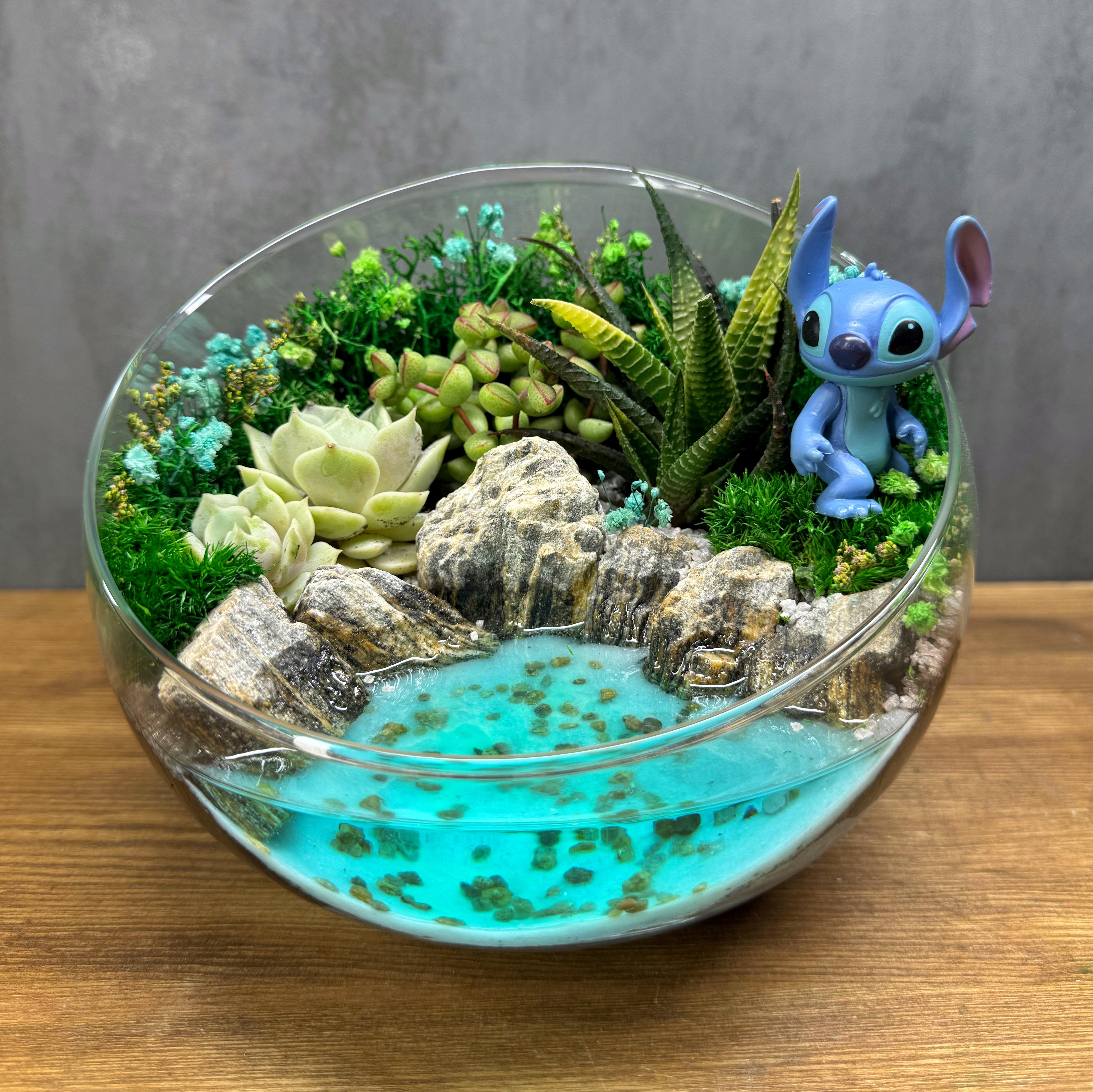 Флораріум Стіч на Гаваях із сукулентами та водоймою 16,5 см Флораріум Стіч на Гаваях із сукулентами та водоймою 16,5 см