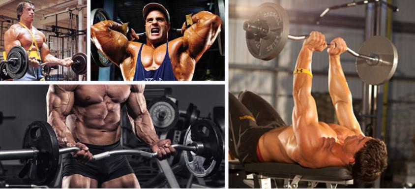 Гриф для штанги хромированный ломаный W-образный WCG 120 см d 28 мм 1 шт. - фото 6 Гриф для штанги хромированный ломаный W-образный WCG 120 см d 28 мм 1 шт. - фото 6