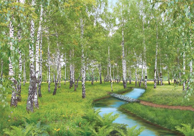 Фотошпалери на паперовій основі Ніка Березовий рай 196х280 см (2000000454306)