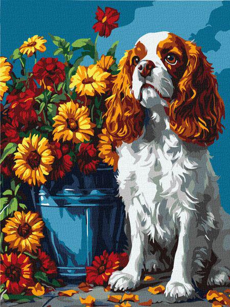 Картина по номерам Ideyka Спаниель и цветы 30х40 см (Id-KHO6673)