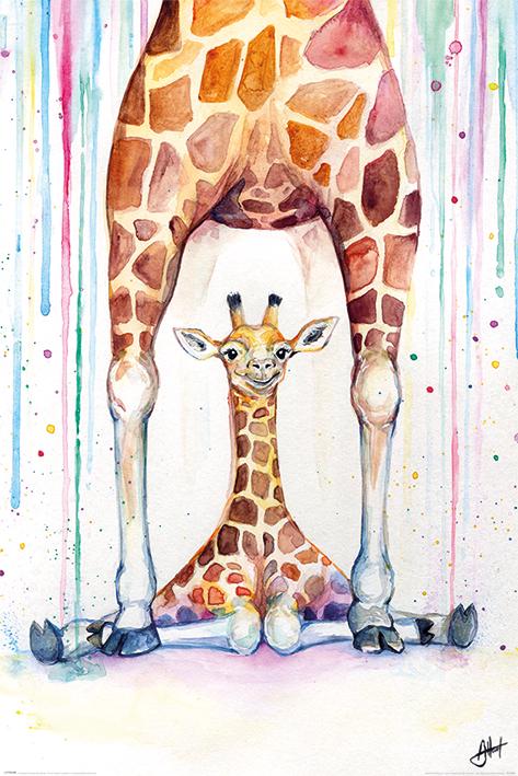Постер плакат Марк Алланте Великолепные Жирафы/Marc Allante Gorgeous Giraffes 61x91,5 см