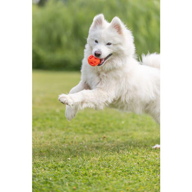 М'яч Trixie у вигляді сот для собак 6 см (TX-33543) - фото 3