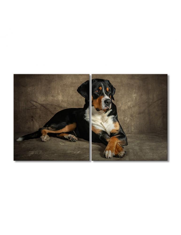 Картина модульная Собака лежит 2 модуля 120x180 см (094523ZHivotnye0010)