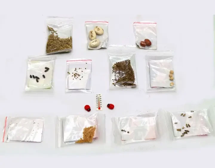 Набір для вирощування рослин HOME FLORARIUM (HFL-01-01U) - фото 3