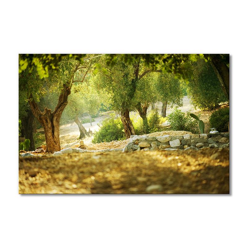 Картина модульная Ветвистые деревья 1 модуль 60x90 см