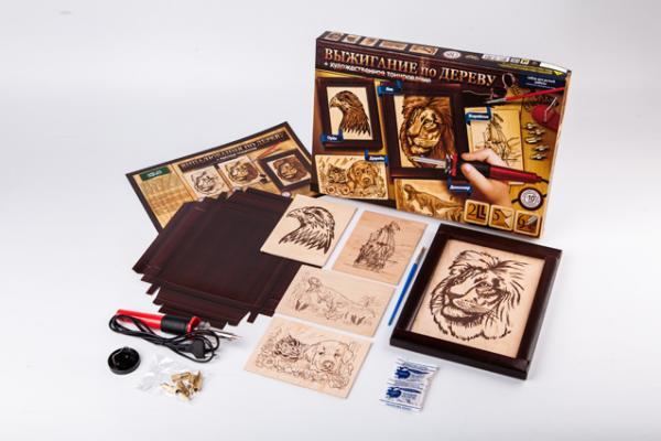 Набор для творчества Danko Toys Обжиг по дереву и художественная тонировка (WD-01-02) Набор для творчества Danko Toys Обжиг по дереву и художественная тонировка (WD-01-02)