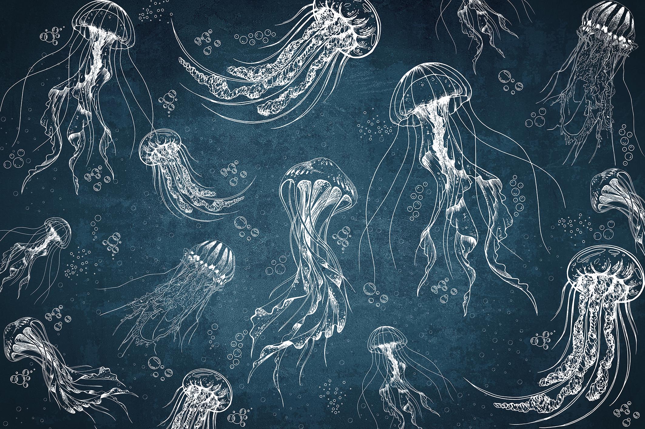 Фотообои флизелиновые Upstream Нарисованные медузы 180х120 см (S5NTR-110/2)
