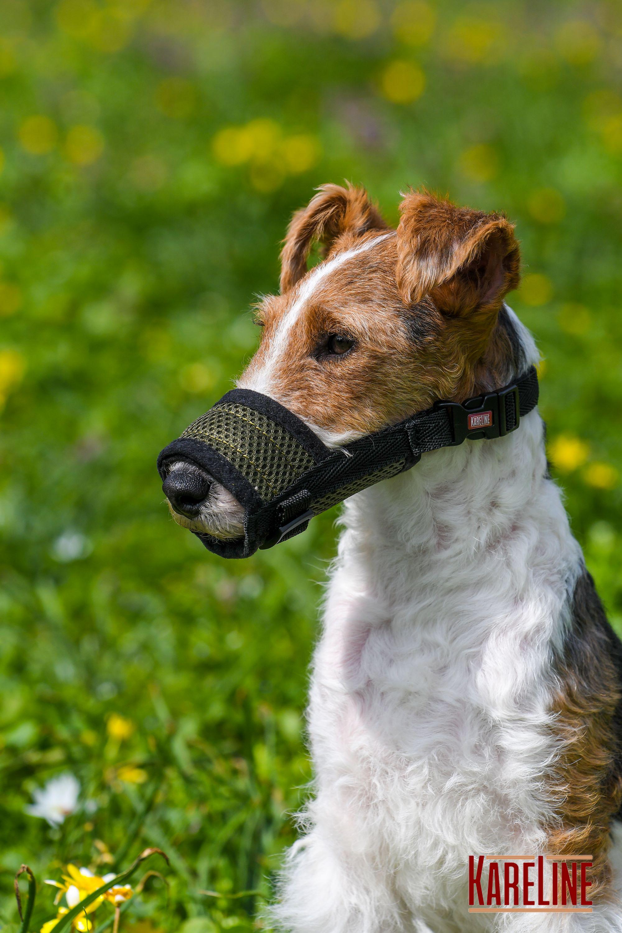 Намордник сетка KareLine из нейлона для спаниеля XS (0531/15) - фото 6