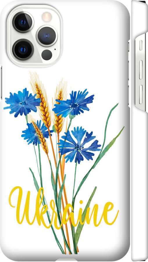 Чехол на iPhone 12 Ukraine v2 (5445m-2053-42517) Чехол на iPhone 12 Ukraine v2 (5445m-2053-42517)