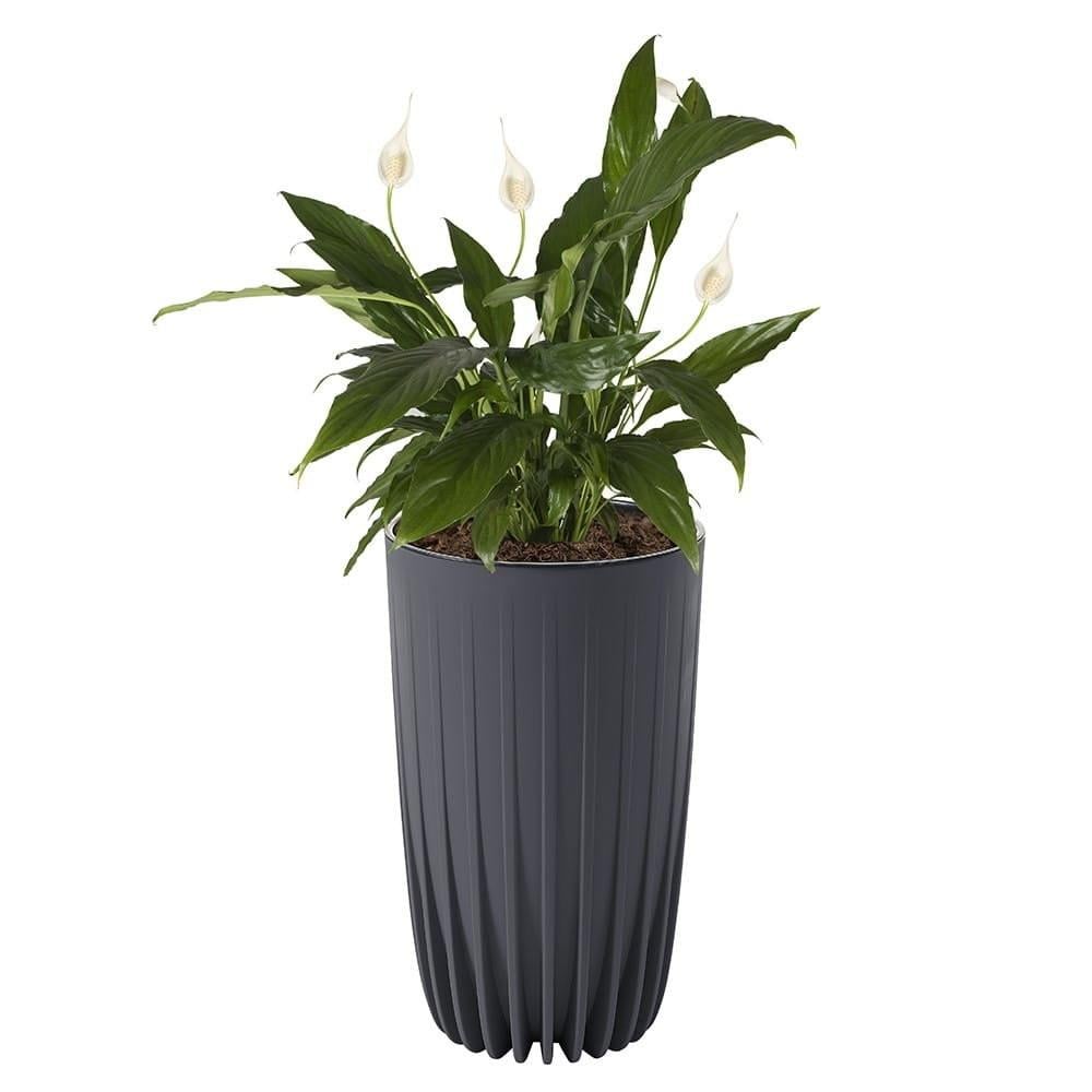 Вазон Lamela MIRA TALL 293х515 мм Антрацит (A-022582) - фото 3 Вазон Lamela MIRA TALL 293х515 мм Антрацит (A-022582) - фото 3