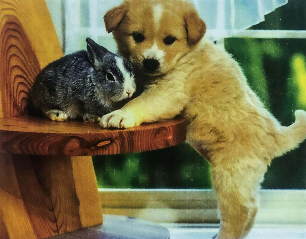 Набір алмазної вишивки на підрамнику Цуценя та кролик 40x30 см (АЛП-445)