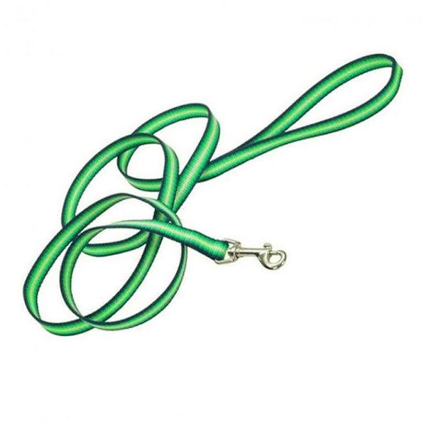 Поводок для собак Coastal Trendz Graduated градиент 2,5 см х 1,8 м Зеленый