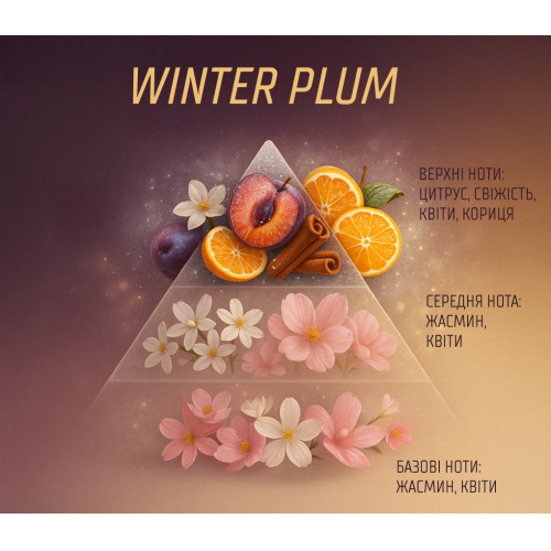 Аромадиффузор Vitol Home Sticks Winter Plum 130 мл (00000063208) - фото 5 Аромадиффузор Vitol Home Sticks Winter Plum 130 мл (00000063208) - фото 5