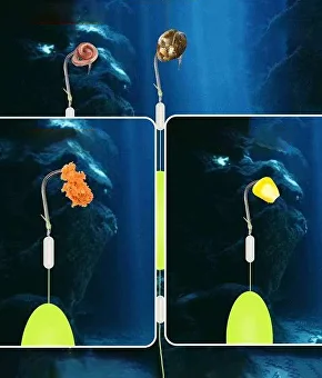 Донні монтажі на два гачки 4 шт. №8 (Y02292-1) - фото 4 Донні монтажі на два гачки 4 шт. №8 (Y02292-1) - фото 4