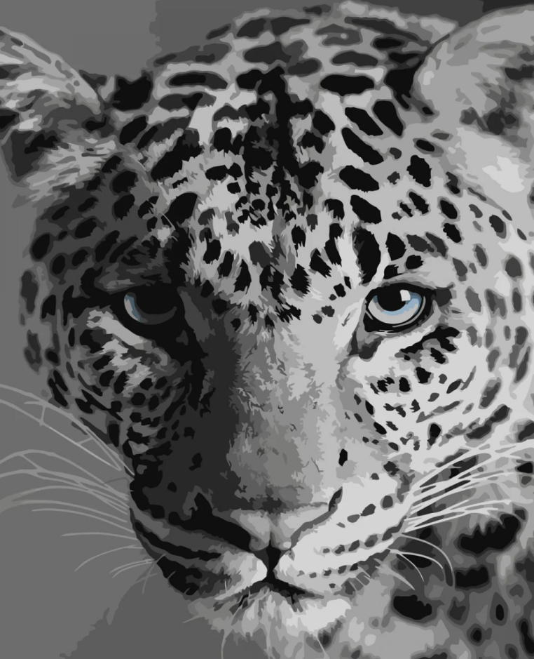 Картина за номерами Strateg Преміум Леопард з лаком та рівнем 40x50 см (SY6668) Картина за номерами Strateg Преміум Леопард з лаком та рівнем 40x50 см (SY6668)